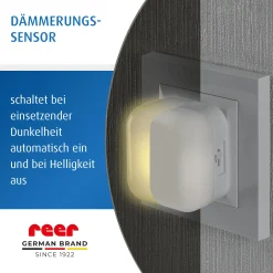 Best Nachtlicht 2in1 SleepLight Eichhörnchen Nachtlichter
