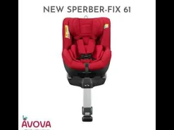 Best Sperber-Fix 61 Maple Red Kinder Kindersitze Isofix|Reboarder 0-18 Kg, Gruppe 0+/1